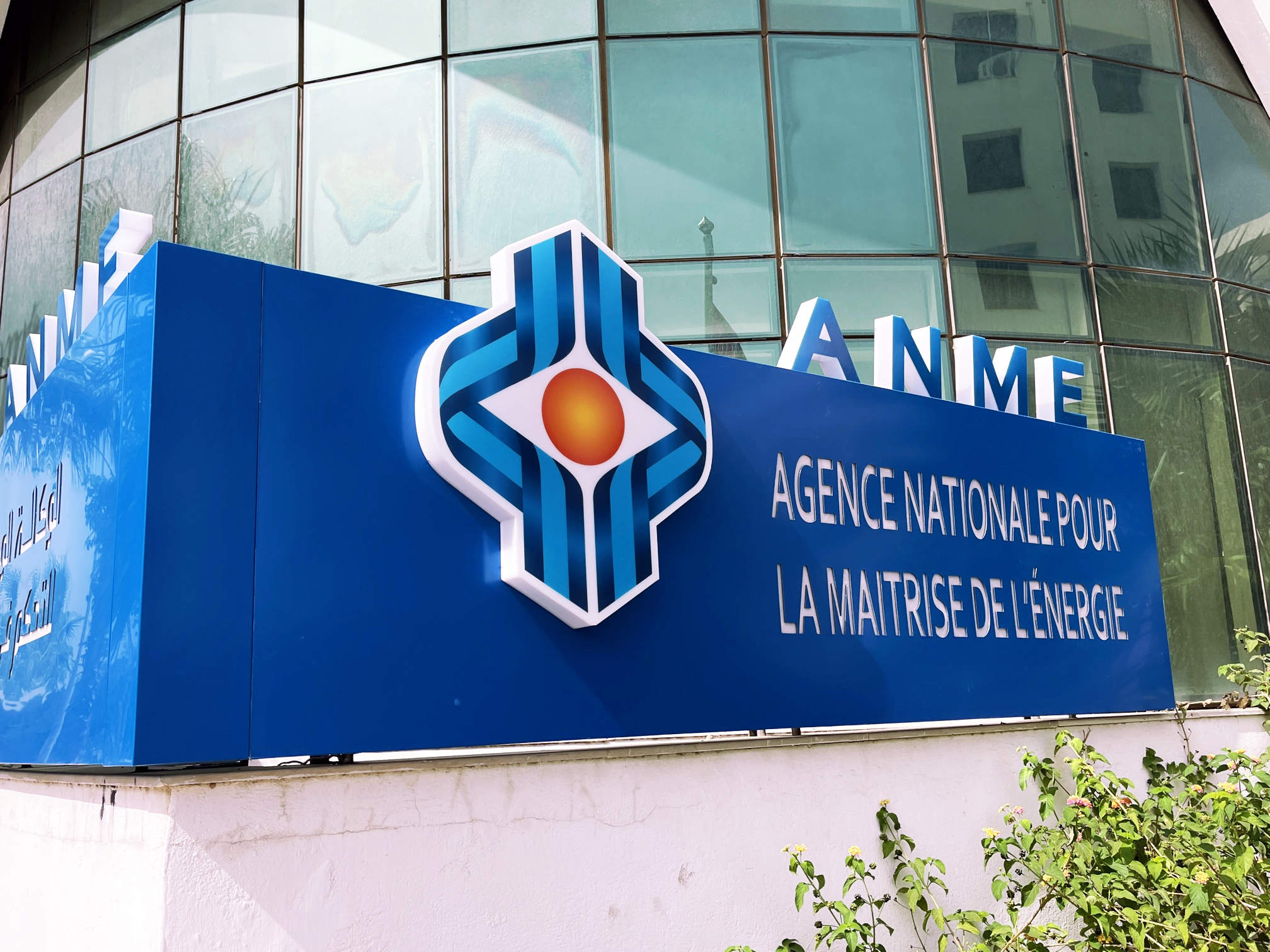 Anme totem